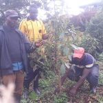 Mathira East tree planting day