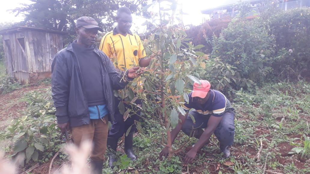 Mathira East tree planting day